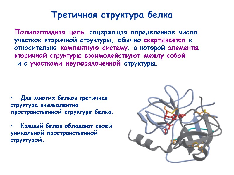 42 Третичная структура белка Полипептидная цепь, содержащая определенное число участков вторичной структуры, обычно свертывается